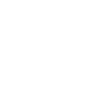 280 Kg/617 lb Lightweight