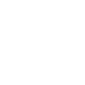 200 kg Load capacity icon