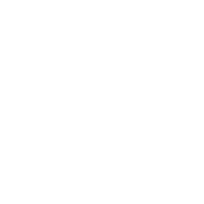 160 kg Load capacity icon