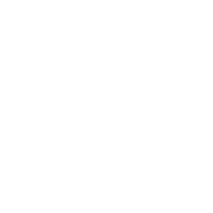 2,1 kg Lightweight icon