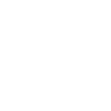 260 kg Load capacity